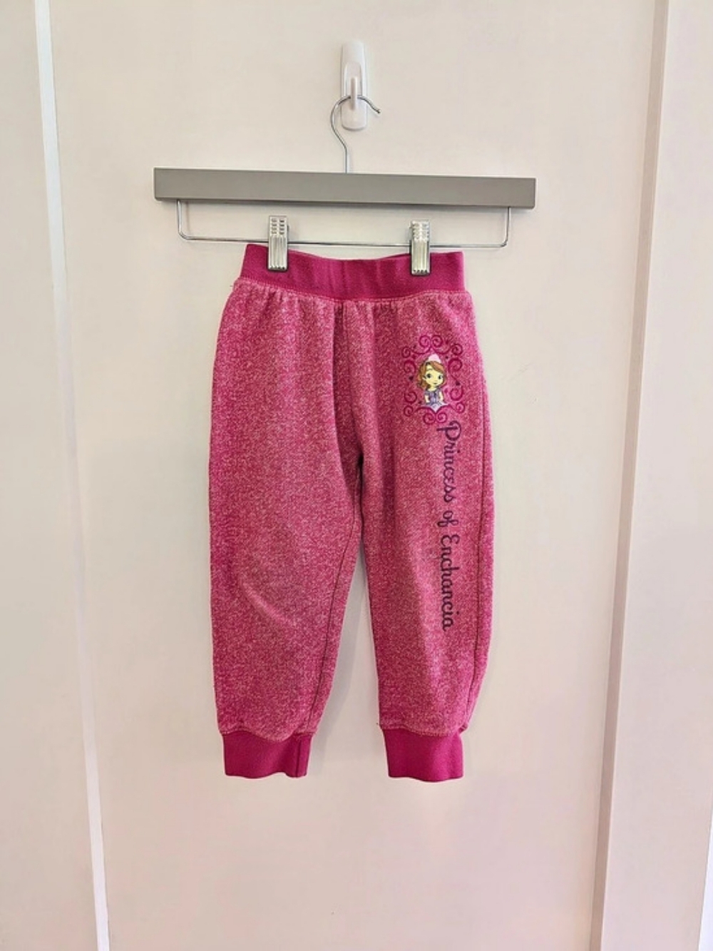 2/$15 💙 Sofia The First Pink Jogger Pants